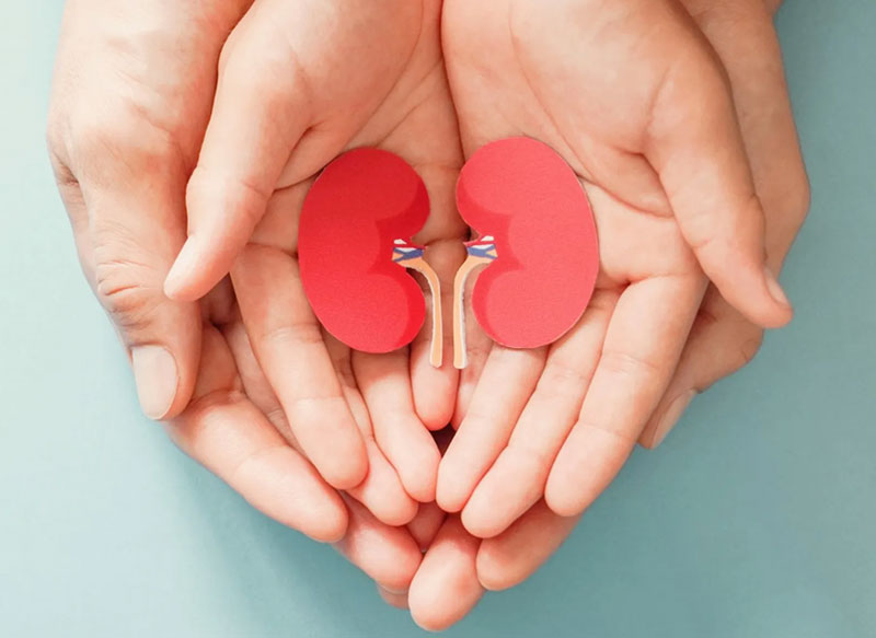 Association with Urosurgeons and Nephrologists