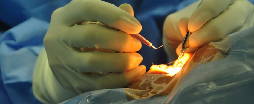 Plastic Surgery Plus